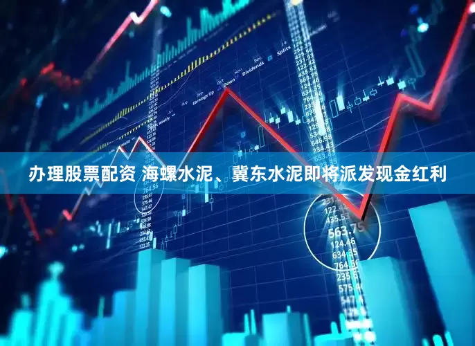 办理股票配资 海螺水泥、冀东水泥即将派发现金红利