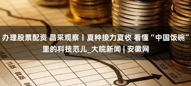 办理股票配资 晶采观察丨夏种接力夏收 看懂“中国饭碗”里的科技范儿_大皖新闻 | 安徽网