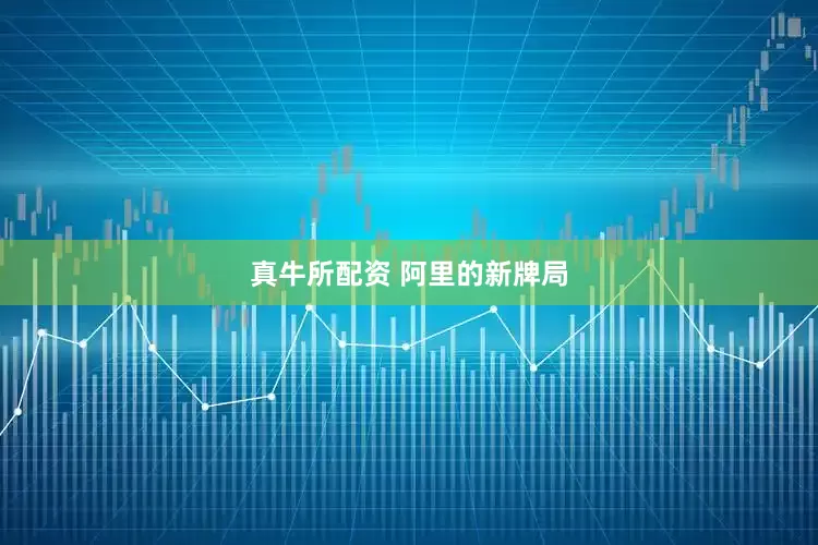 真牛所配资 阿里的新牌局