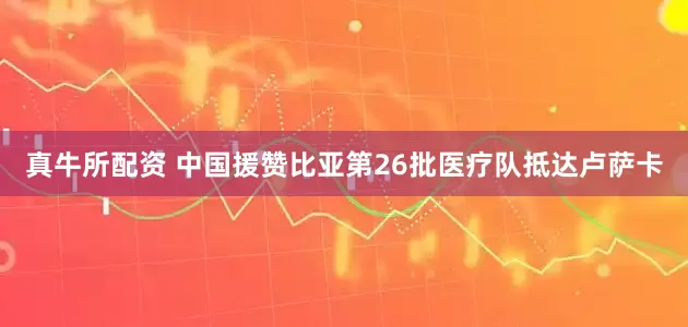 真牛所配资 中国援赞比亚第26批医疗队抵达卢萨卡