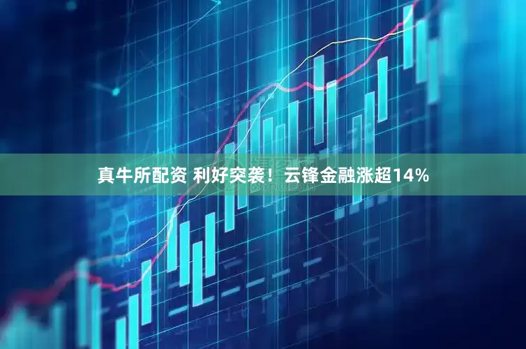 真牛所配资 利好突袭！云锋金融涨超14%