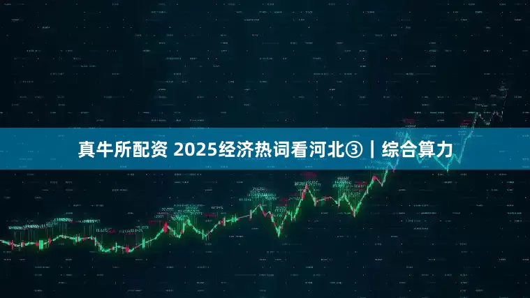 真牛所配资 2025经济热词看河北③｜综合算力